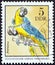 GERMAN DEMOCRATIC REPUBLIC - CIRCA 1975: A stamp printed in Germany shows Blue and Yellow Macaws, circa 1975.