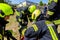 German firefighters train a patient transport