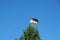 German flag on top of tree