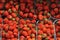 German grown strawberry market in Copenhagen DenMark