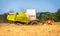 German havester Claas Lexion 650 works on a corn field