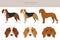 German Hound clipart. Different coat colors set