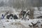 German infantrymen of the period of World War II in the cloudy winter afternoon. A fragment of military and historical reconstruct