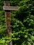 German letters of dead end on wooden sign in a lush green forest