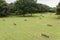 German military cemetery in La Cambe in Normandy, France - helicopter view