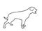 German military guardian dog rottweiler portrait vector line contour illustration