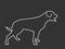 German military guardian dog rottweiler portrait vector line contour illustration silhouette.