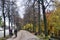 German old man and senior women lovers people riding biking bicycle on footpath beside Liebigstrasse street road in fall autumn