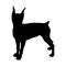 German Pinscher Dog Silhouette Found In Map Of Europe