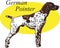 German Pointer Vector Illustration