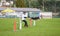 German shepherd during an agility dog competition