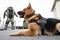 German shepherd army dog trained to detect explosives