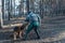 A German Shepherd attacks an adult male. The dog bites and holds a special sleeve in its mouth. Trainer in protective clothing.