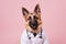 German Shepherd Dog Dressed As A Scientist On Blush Color Background