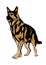 German Shepherd Dog Flat realistic style