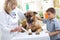 German Shepherd Dog getting bandage after injury on his leg by