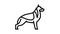 german shepherd dog line icon animation