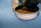 German shepherd dog puppy eating dog kibble food in bowl on floor