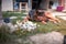 A German shepherd dog resting on grass in the backyard next to some flowers