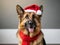 German shepherd dog wearing a Santa hat and scarf.
