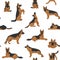 German shepherd dogs in different poses. Shepherd characters seamless pattern