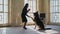 German Shepherd gives a paw to the master in the studio. Young woman holds a toy in her hands and gives command to the