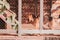 German shepherd in its kennel on the backyard of countryside house