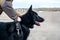 German Shepherd and its owner walk along shore of Black Sea, Poti