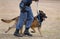 German Shepherd Police Dog and Handler