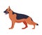 German Shepherd Purebred Dog, Pet Animal, Side View Vector Illustration