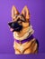 German Shepherd, Purple background, Vermeer style. AI-Generate