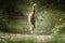 German Shepherd Saluki Cross walking towards the camera with a foxy tail