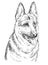 German Shepherd vector hand drawing portrait