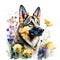 german shepherd watercolor clipart on white background