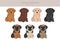 German Sheprador clipart. German Shepherd Labrador retriever mix. Different coat colors set