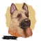 German Sheprador Dog isolated digital art illustration. Hand drawn dog muzzle portrait, puppy cute pet. Dog breeds originating