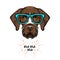 German short haired pointer nerd. Smart glasses. Dog geek. Clever dog portrait. Vector.