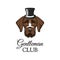 German Shorthaired Pointer gentlemat. Top hat. Dog portrait. Gentleman club inscription. Vector.