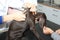German Shorthaired Pointer Puppy at vet