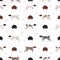German shorthaired pointer seamless pattern. Different poses, coat colors set
