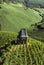 German vineyard with small old stone building