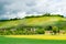 German vineyard in spring with cloudy sky, sunlit on vineyard and rape field in front, Germany