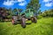 German vintage tractor stands on a green meadow