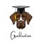 German wirehaired pointer. Drahthaar graduate. Graduation hat. Vector