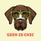 German Wirehaired Pointer geek. Smart glasses. Hunting dog. Drachaar. Vector.