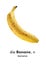 German word card: Banane (banana