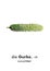 German word card: Gurke (cucumber