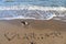 The german word Ostsee Baltic Sea and a heart written into the sand of the beach