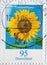 GERMANY - CIRCA 2005 : a postage stamp from Germany, showing a European flower: Sunflower