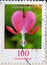 GERMANY - CIRCA 2006  : a postage stamp from Germany, showing a European flower: crying heart